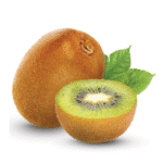 HEMIND Developed HemOxy12, a Portable Oxygen Concentrator 12 to 16 LPM with 80 percent Indian Origin Material