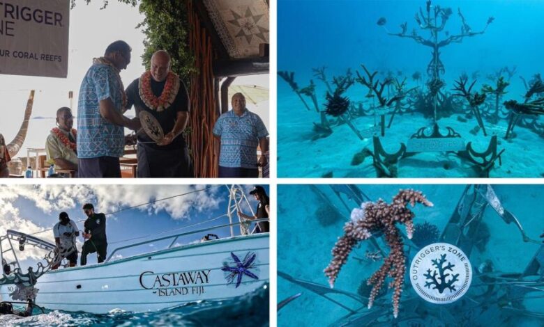Castaway Island Fiji, Counting Coral unveil sculptural gene bank for reef revival