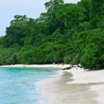 IndiGo Enters Long-Haul Market with Mumbai–Manchester Route