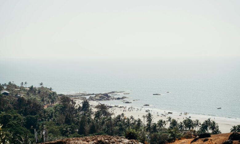 Goa Sees Surge in Tourist Arrivals Jan–June 2025