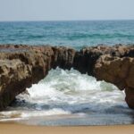 FES Cafe raises ₹3 crore to fuel expansion plans