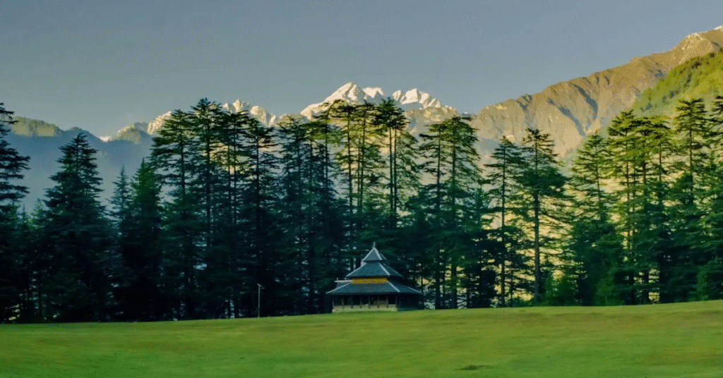 Shangarh: The Serene Meadow of Sainj Valley