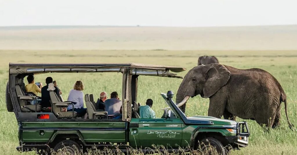 Masai Mara, Africa