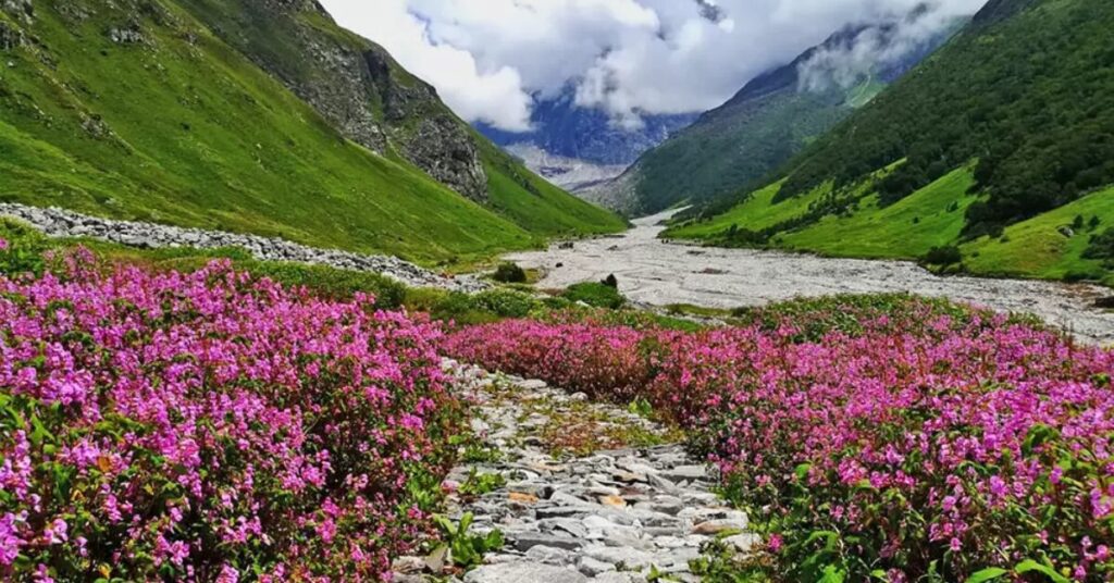 Valley of Flowers, Uttarakhand