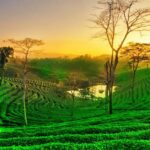 Garba Nights 2025 in Delhi NCR: Top 10 Events for Navratri Celebration