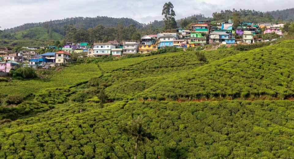 Agoda Ranks Munnar Among Asia’s Top Rural Destinations