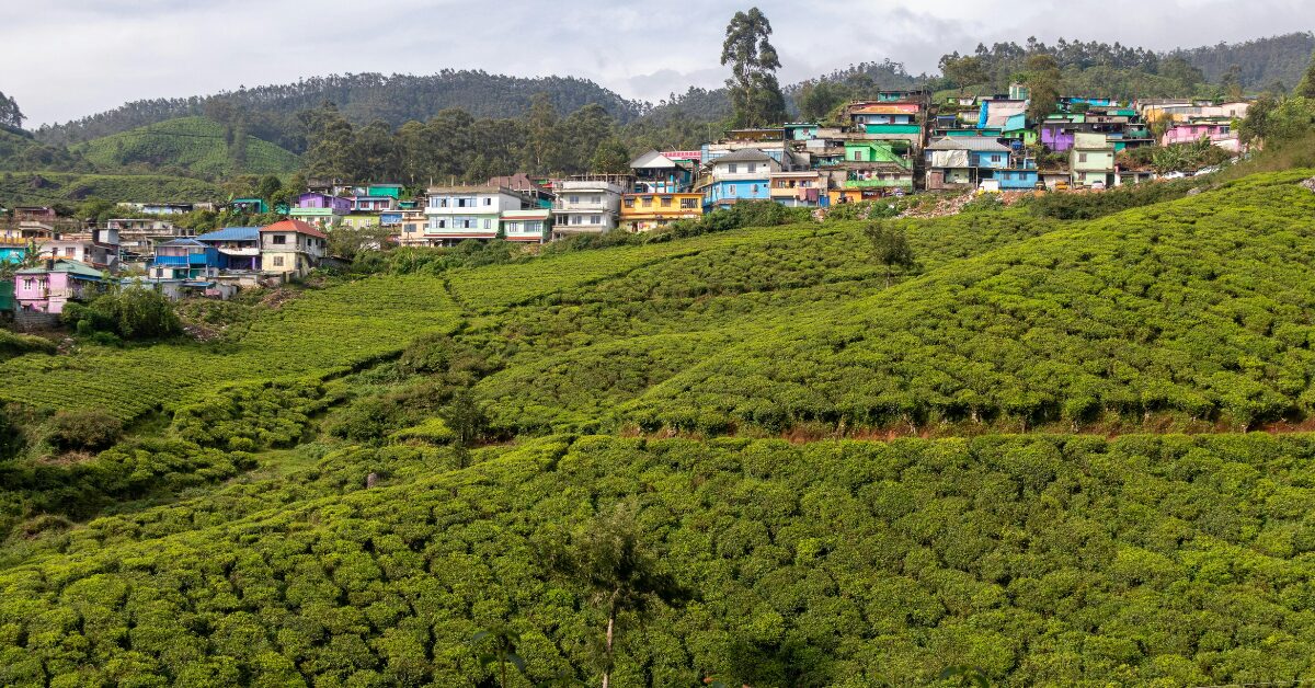 Agoda Ranks Munnar Among Asia’s Top Rural Destinations