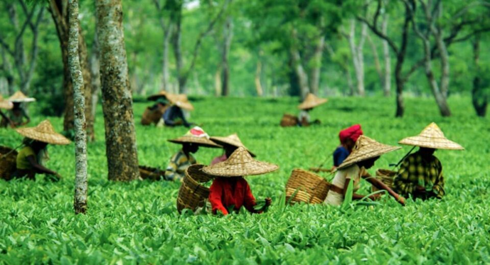 Assam Launches Sign Language Training for Inclusive Tourism