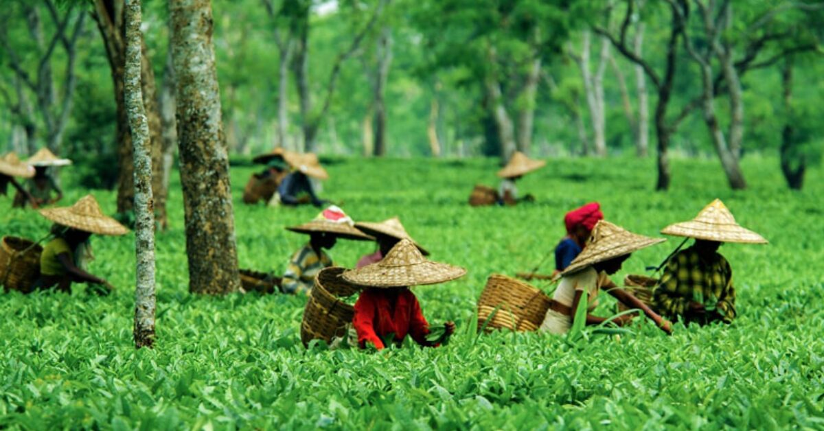 Assam Launches Sign Language Training for Inclusive Tourism