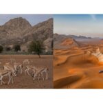 Sweta Sharma Appointed Cluster Director of Revenue at Fairmont & Raffles Jaipur