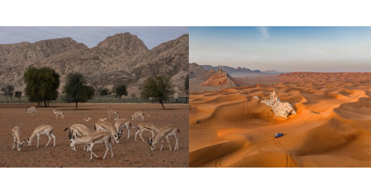 Mleiha National Park: Sharjah’s UNESCO-Recognized Eco-Tourism Gem