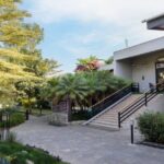 Celebrate Diwali at Sahara Star: Festive Feasts, Sweet Indulgences & Exclusive Staycations