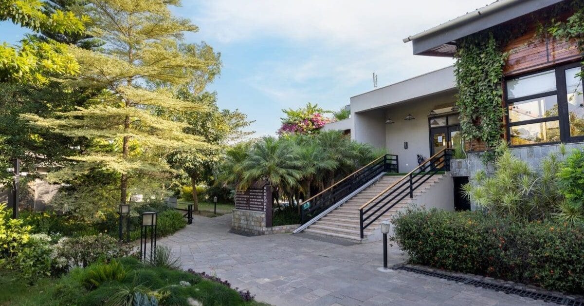 The Golden Tusk Revamps ‘The Golden Forest’ to Elevate Dining Experience