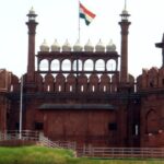 The Golden Tusk Revamps ‘The Golden Forest’ to Elevate Dining Experience