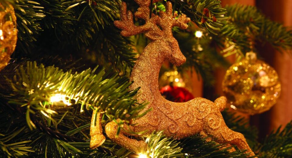 Four Seasons Hotel Bengaluru ushers in the festive season with heartfelt celebrations