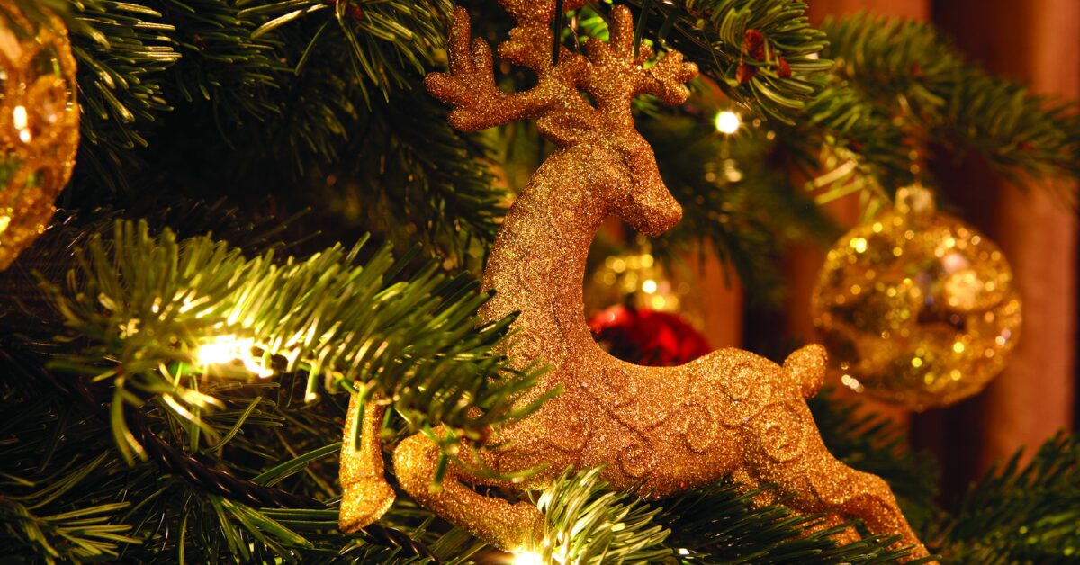 Four Seasons Hotel Bengaluru ushers in the festive season with heartfelt celebrations