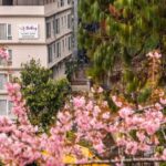 Jibhi & Tirthan Valley Itinerary from Delhi (4N/5D)