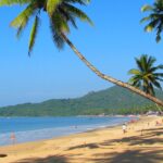 Vrindavan-Style Holi in Delhi: Braj Holi 2026 at Mandir Shree Ladliji, Chandni Chowk