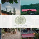 Vietjet Unveils Multi-Billion Dollar U.S. Partnerships