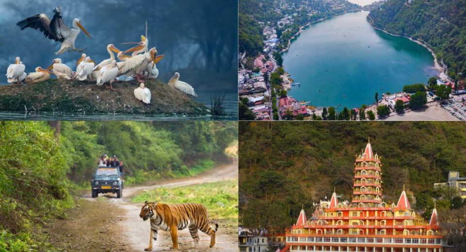 Best Weekend Getaways from Delhi for Nature Lovers