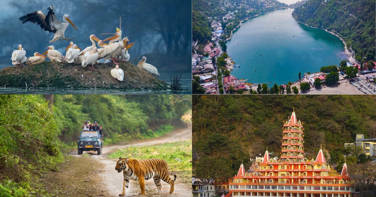 Best Weekend Getaways from Delhi for Nature Lovers