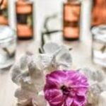 Hotel Lobbies as Social Hubs: The Rise of Digital Nomad Spaces