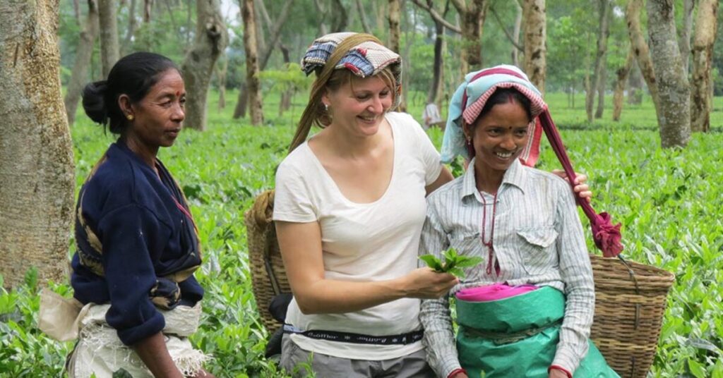 Tea Tourism: Best Destinations for Tea Lovers Around the World