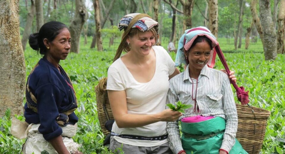 Tea Tourism: Best Destinations for Tea Lovers Around the World