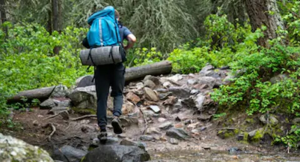 Adventure Travel for Beginners: Safe and Easy Ways to Explore the Wild