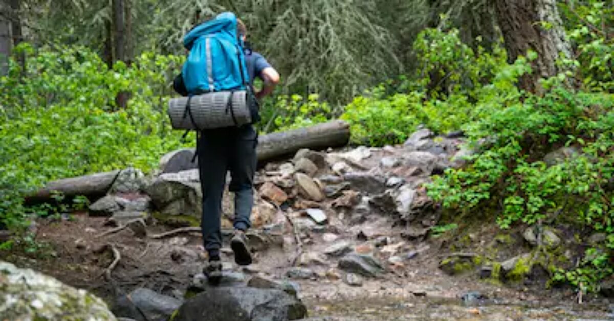 Adventure Travel for Beginners: Safe and Easy Ways to Explore the Wild